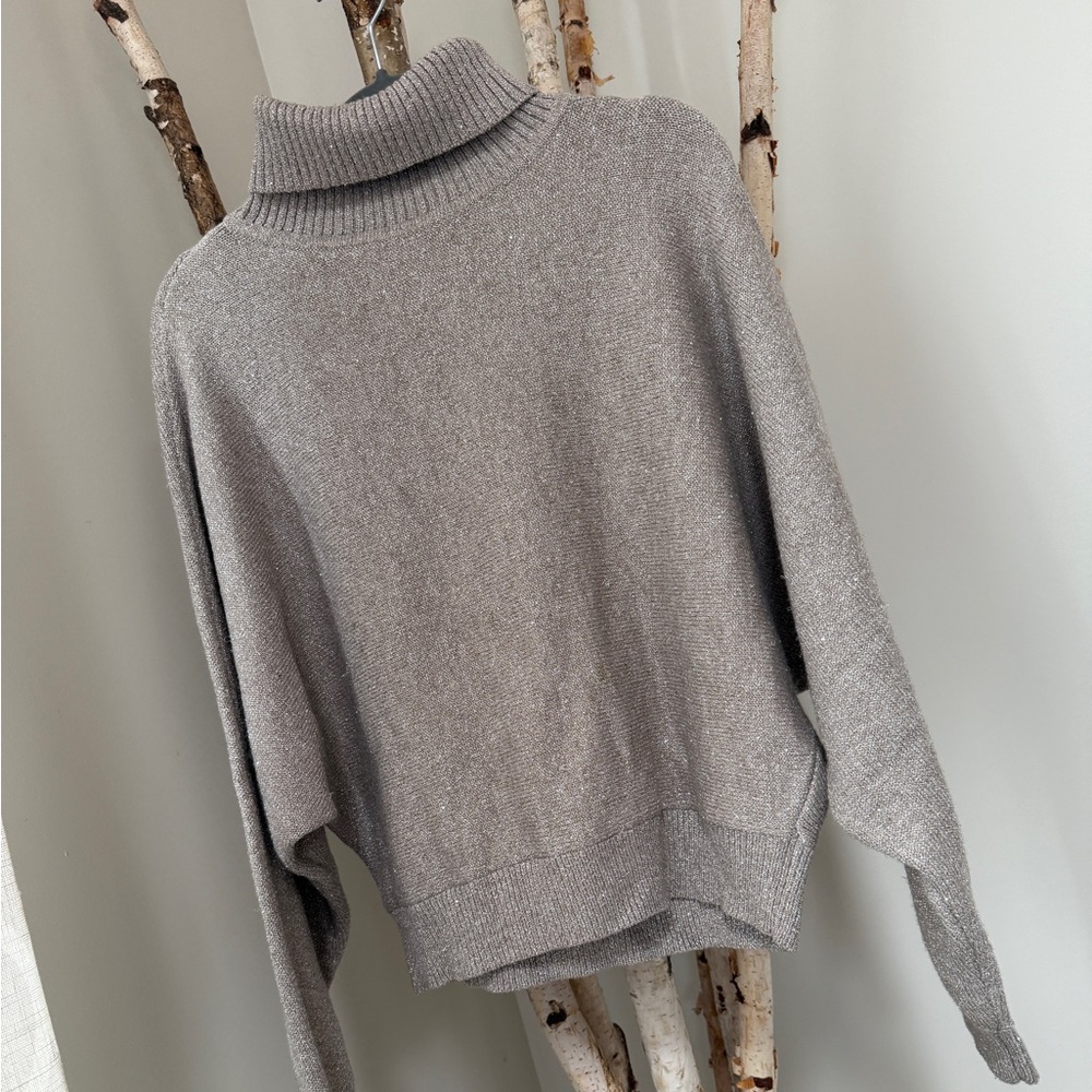 Express shimmering sweater